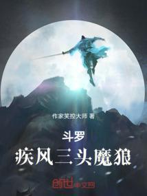 斗罗大陆自创疾风魔狼全部魂技