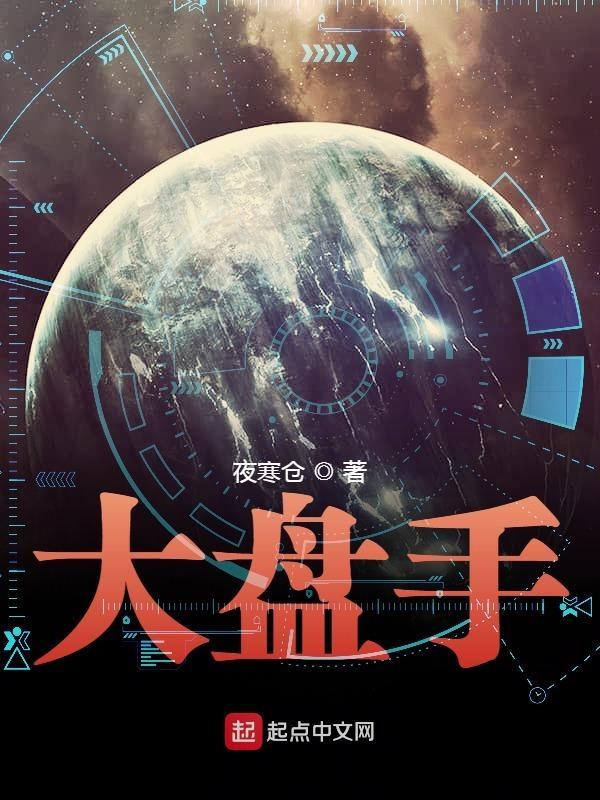 大盘手网官网入口