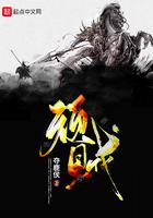 顽贼柯山梦