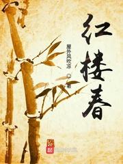 红楼残梦之董小宛