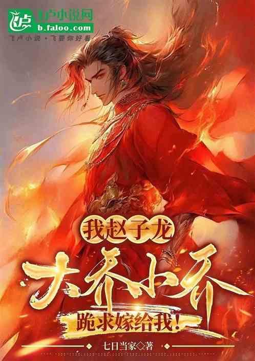 武神赵子龙大乔小乔