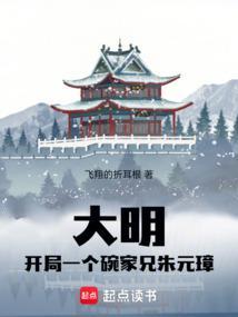 明太祖开局一个碗