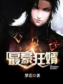 最强豪婿