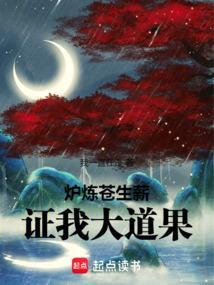 炉炼苍生薪证我大道果原著