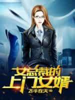 女总裁的上门女婿在线收听