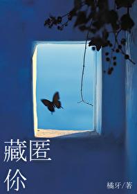 藏匿你讲的什么