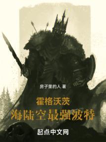 霍格沃茨海陆空最强波特txt