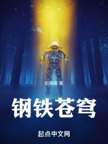 钢铁苍穹豆瓣