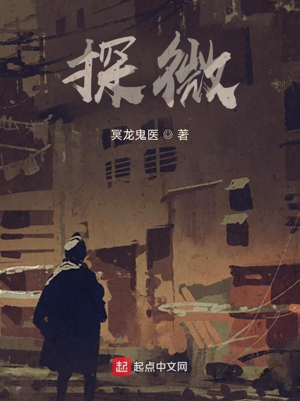 探微什么意思