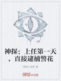 神探什么电视剧