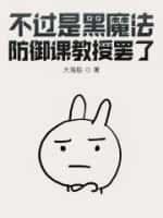 不过是黑魔法防御课教授罢了cp