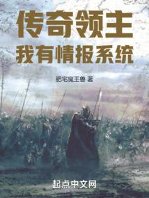 传奇领主百度百科