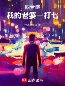 四合院我的老婆一打七最
