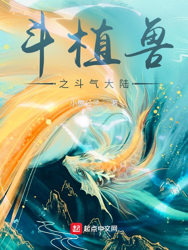 斗气大陆什么意思