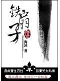铁扇子实战