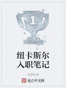 纽卡斯尔好吗