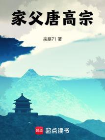 家父唐高宗txt