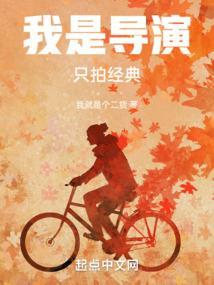 我是一位导演顶点