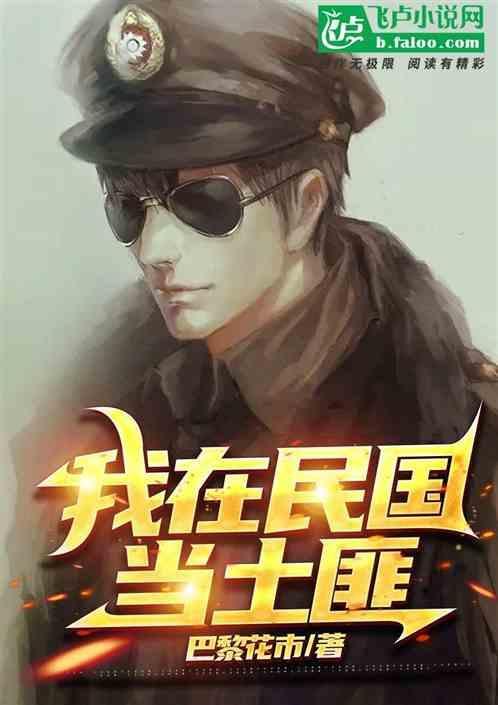 我在民国当土匪(原名华山风云录)续写