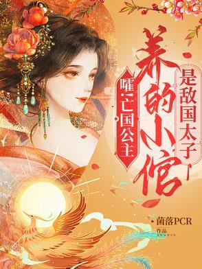 亡国公主与敌国皇子