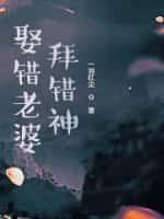 娶错妻怎么办