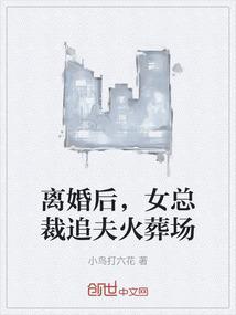 离婚后女主追夫火葬场的