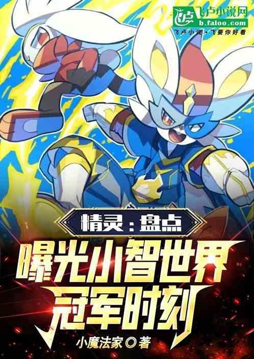 小智冠军是哪一部