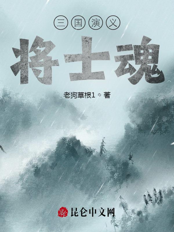 三国演义将士魂(不是三国演义人气)