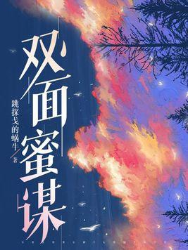 双面