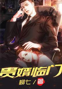 贵婿临门 柳七