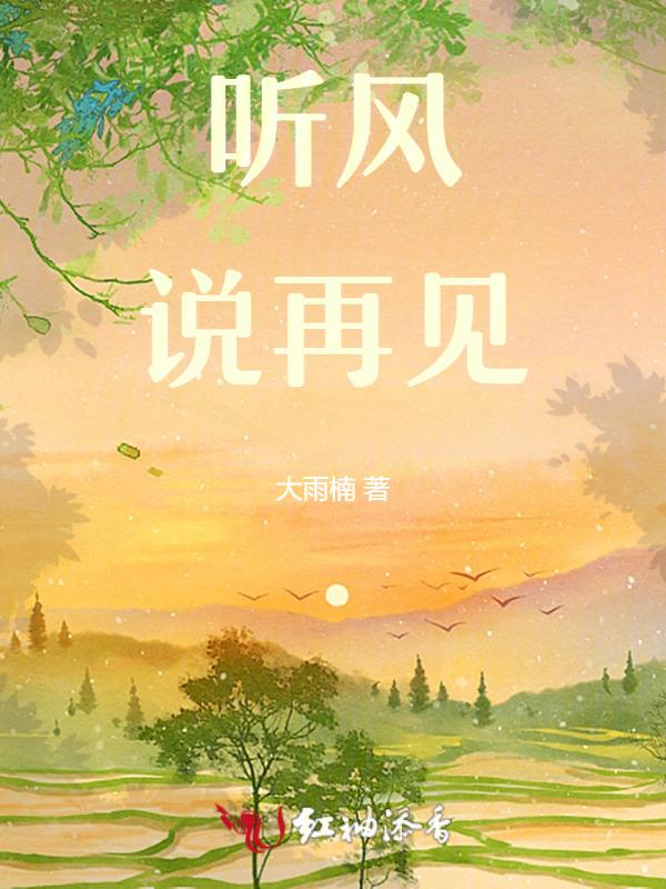 听风说这首歌表达了什么情感