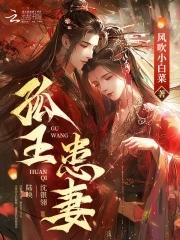 孤王患妻沈银翎陆映