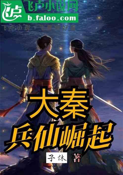 电视剧大秦兵
