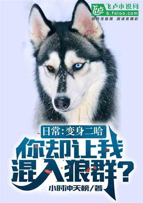 变成二哈的日子