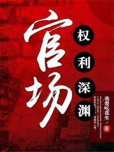 官场全文免费阅读权路巅峰