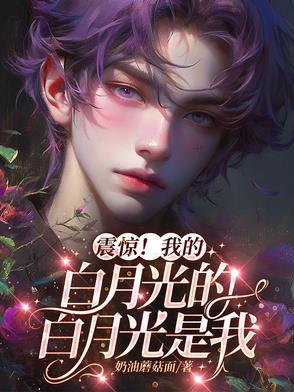 我的白月光意思
